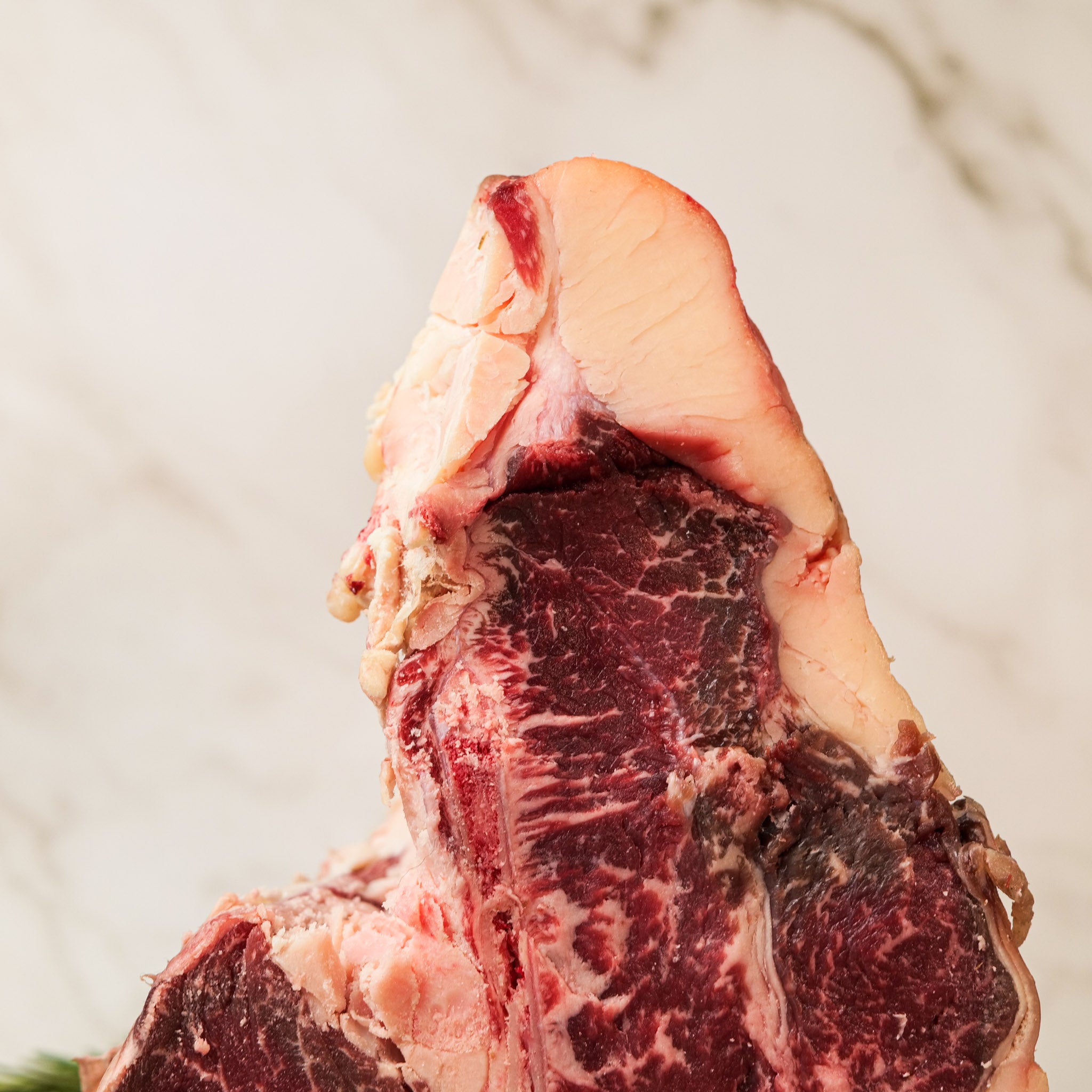 Manzetta Prussiana – Costata con Osso (T-bone/Porterhouse)