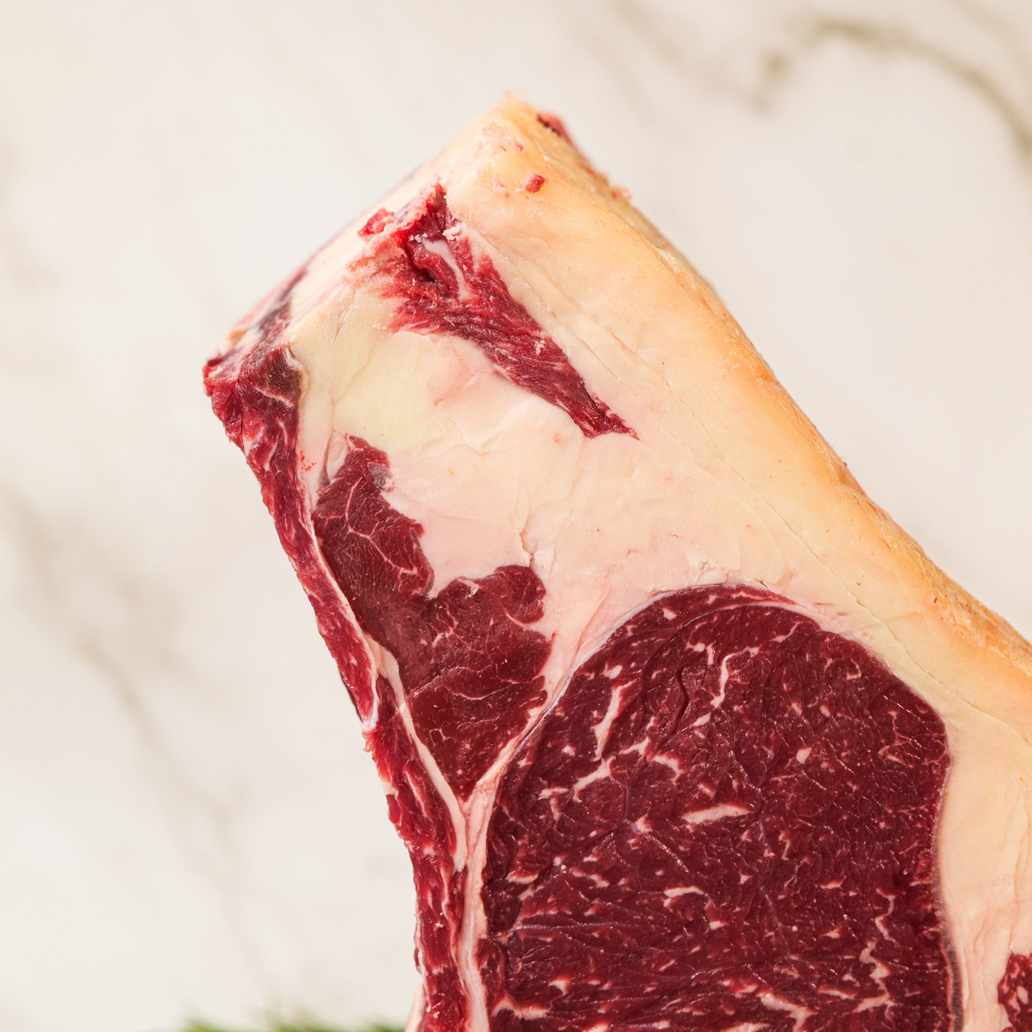 Scottona Croata – Costata con osso