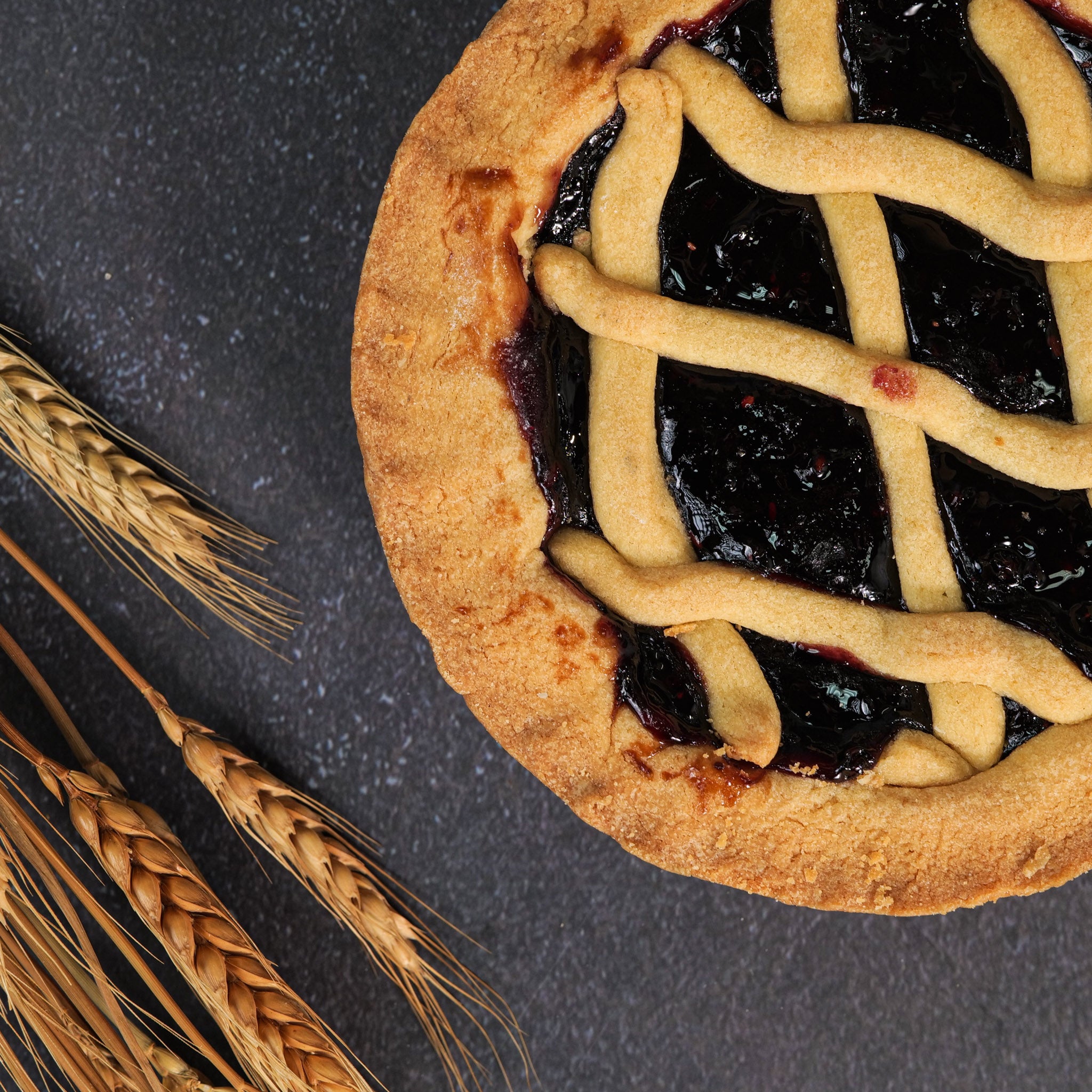 Torta con Marmellata ai Frutti di Bosco "con i Becchi"