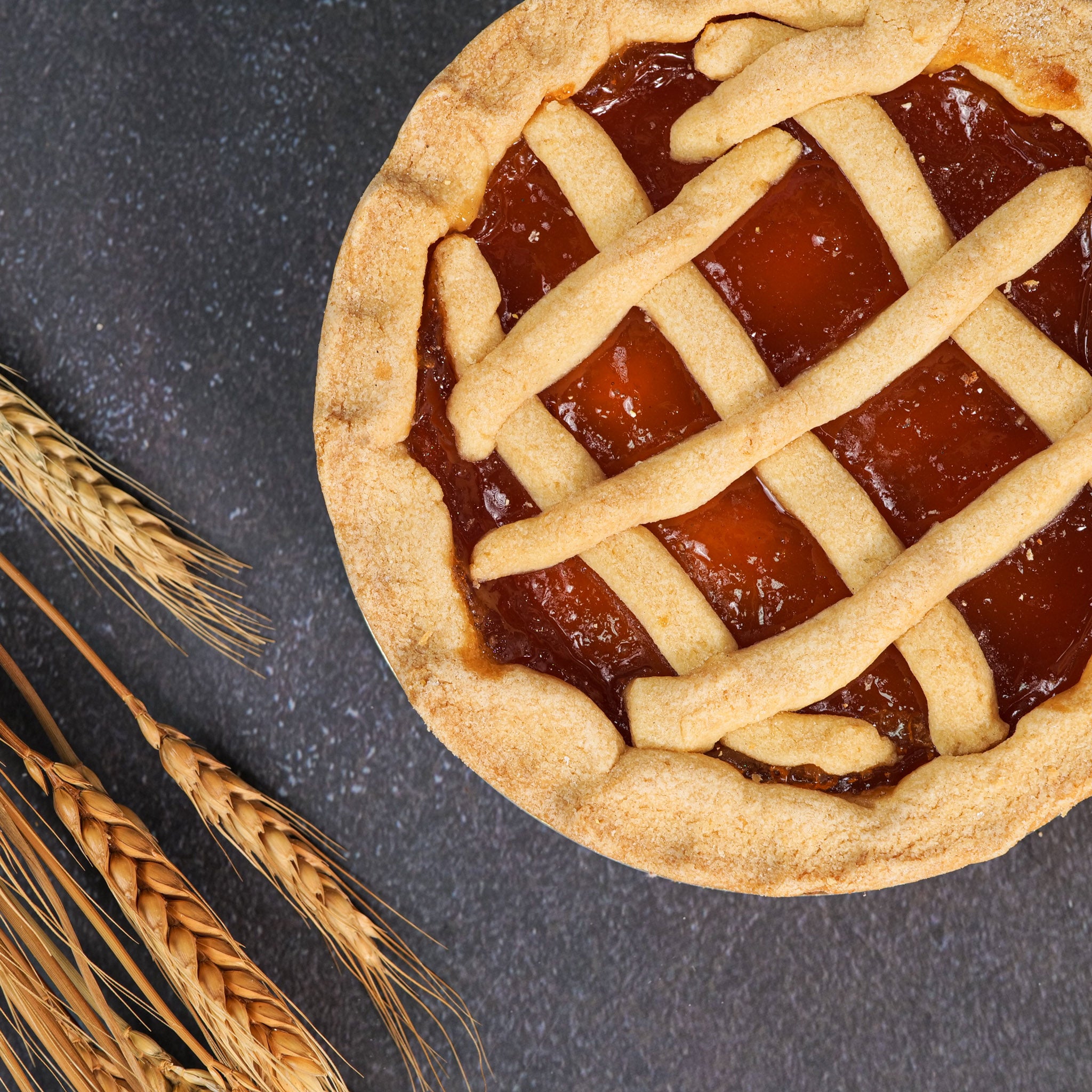 Torta con i Becchi alla Marmellata di Albicocche – Panificio Lazzeroni
